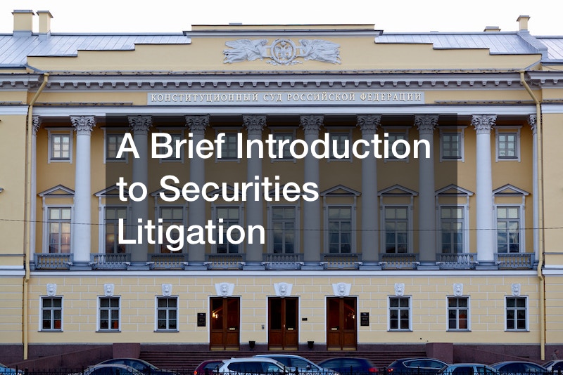 A Brief Introduction to Securities Litigation