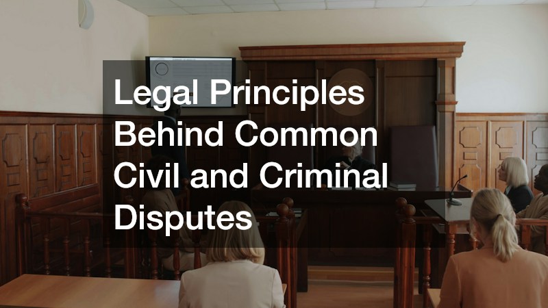 Legal Principles Behind Common Civil and Criminal Disputes